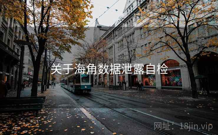 关于海角数据泄露自检 第1张 关于海角数据泄露自检 第1张