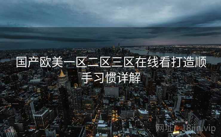 国产欧美一区二区三区在线看打造顺手习惯详解  第2张