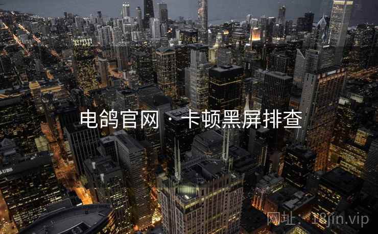 电鸽官网 · 卡顿黑屏排查 第1张 电鸽官网 · 卡顿黑屏排查 第1张