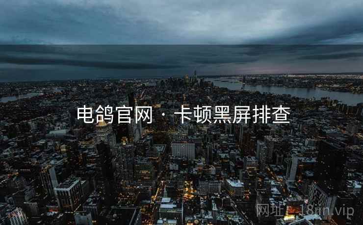 电鸽官网 · 卡顿黑屏排查 第2张 电鸽官网 · 卡顿黑屏排查 第2张