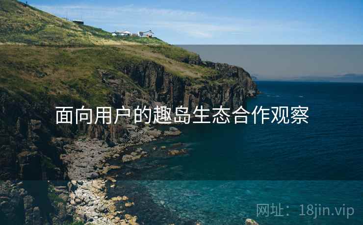 面向用户的趣岛生态合作观察 第1张 面向用户的趣岛生态合作观察 第1张