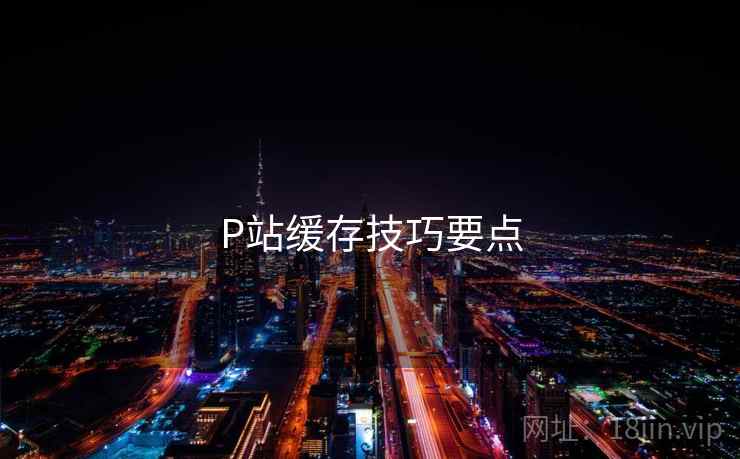 P站缓存技巧要点 第1张 P站缓存技巧要点 第1张